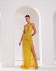 Li Beirut M1007